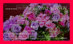 cyrille_card_160622_ol-02.jpg